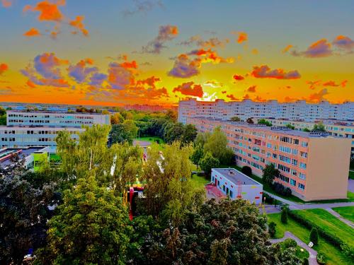razgled, Narva Edukorter in Soldina