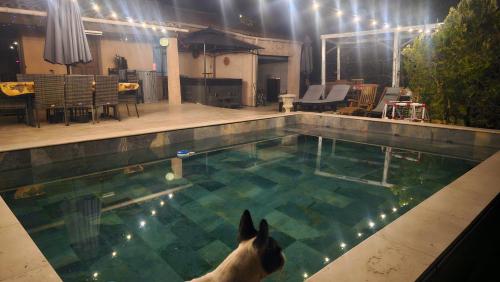 house, swimming pool, jacuzzi 4-6 people gîte à louer Pourcieux