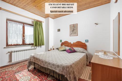 Ranč Katja in Abdul