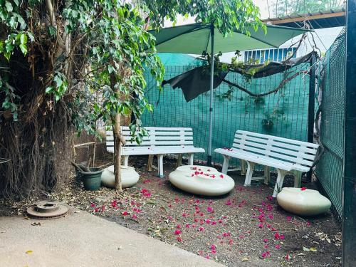 Appartement entier in 쿵구