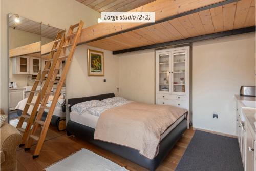 IQ wood apartment, Ljubljana (photo 7)