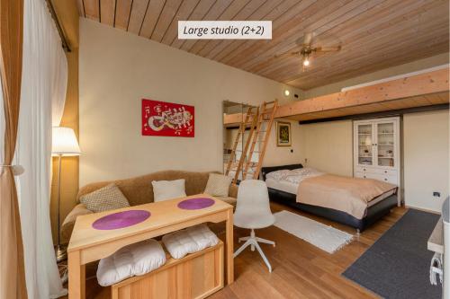 IQ wood apartment, Ljubljana (photo 8)
