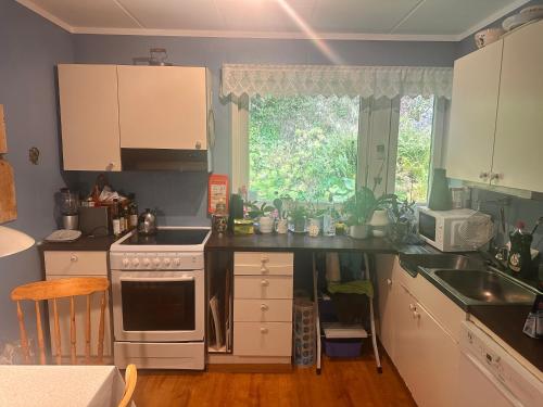 Nordstrand villa and garden in Nordstrand