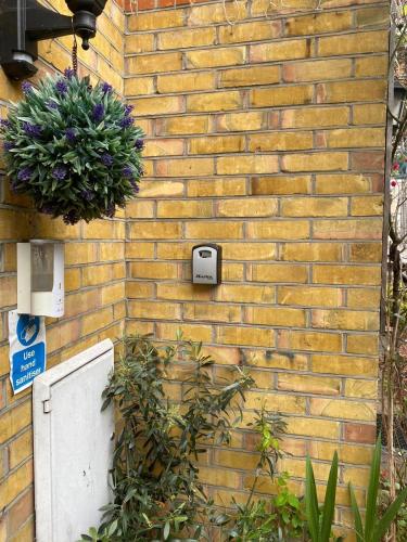 Charming 2 Bedroom House in Central London, Londýn (fotografie 9)