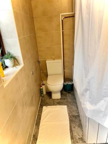 Charming 2 Bedroom House in Central London, Londýn (fotografie 10)
