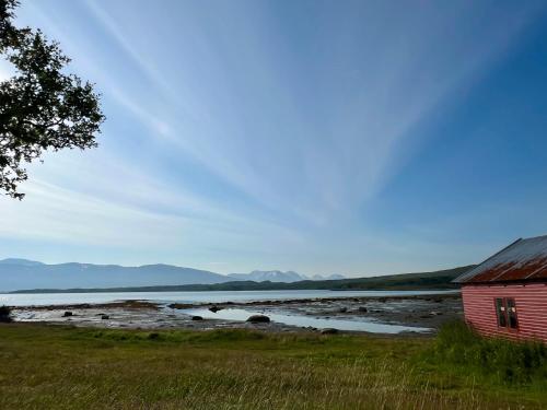 Surrounding environment, Charming place in Tromsø by the sea. in Kvaloysletta