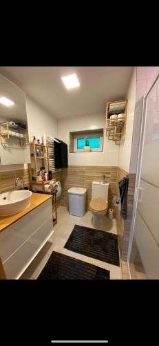 浴室, House in the foothills of the Ore Mountains RÁJOV (House in the foothills of the Ore Mountains RAJOV) in 帕斯達