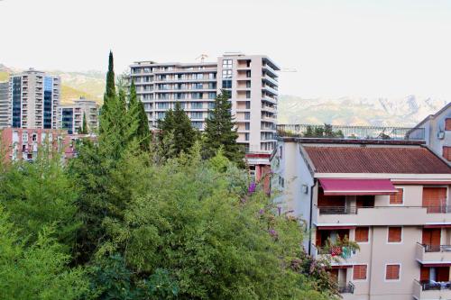 Guest House Mandarina - image 2
