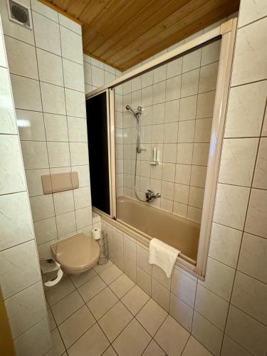 Hotel die Traube