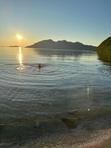 Surrounding environment, Kaldfjord Aurora Apartments New Top floor in Kvaloysletta