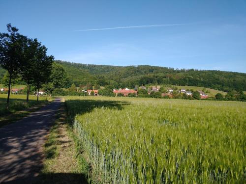 Ferienhaus -Wesertal in Oberweser