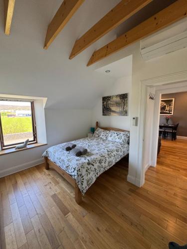 . Unkenhaus. Cosy, modern apartment, private parking
