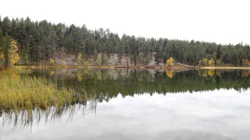 Cabin at Huskies Farm, Inari (fotografie 7)