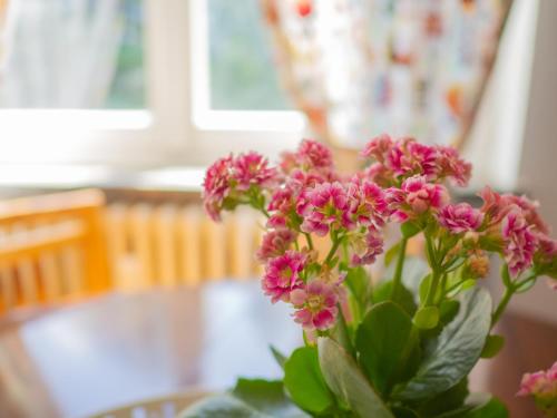 Lovely Flat in Morgex, Morgex (zdjęcie 7)