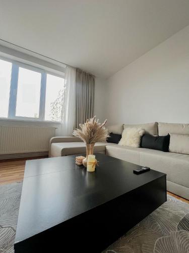 Timișoara Urban Stay Apartment - 2min walk to Iulius Mall - 10min walk to City Center - Spacious and Comfortab 3-Star Single Room suite