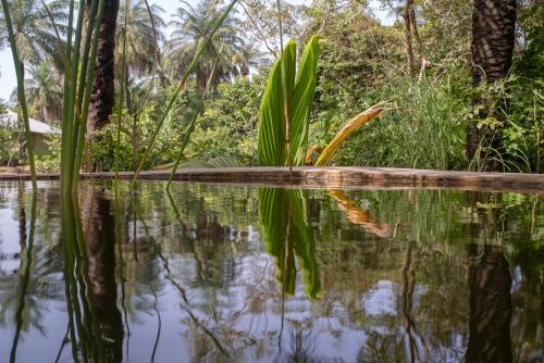 Dārzs, Campement solidaire Nioko Bokk in Abéné