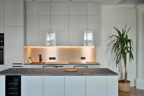 Spacious Central apartment , 2 bedrooms, Old Town walk, Riga (fotografie 7)