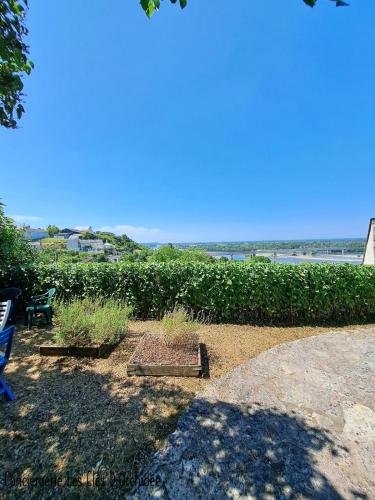 Le chant du troglodyte in Le Petit Puy