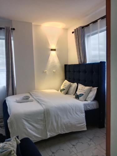 Studio Nest kamakis in Ruiru