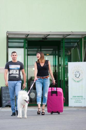 Hotel Zoo - main image