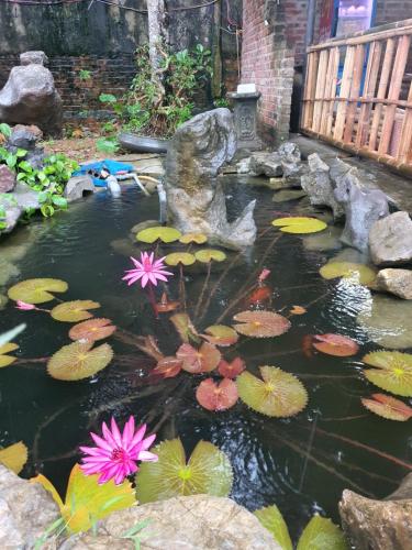 MELLOWMOO Homestay 