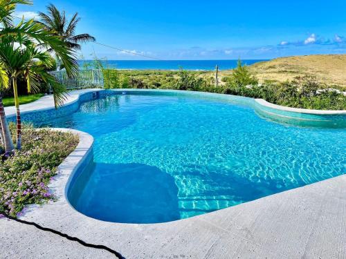 Hook em on Paradise in Κλαίρμοντ