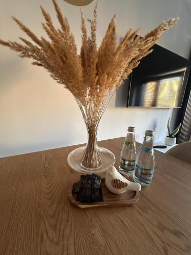 Apartament Stara Środa