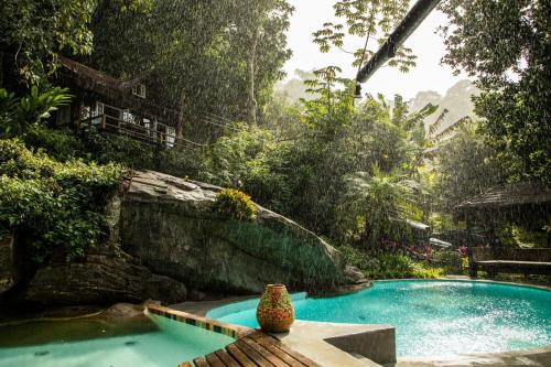 Rainforest Paradise 3 in Gavea