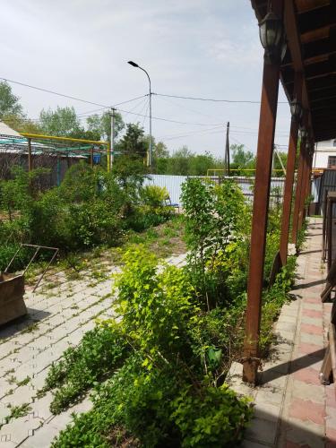 Дом VanTrip4x4, Kamenka (Foto 6)