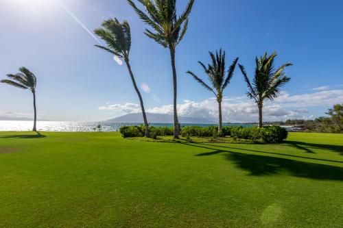 Kihei Surfside Resort 308 - image 9