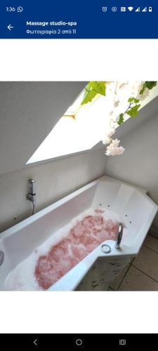 massage Sauna jakuzzi in 金斯海姆古斯塔夫斯堡