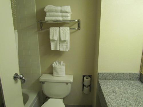Romana Hotel - Houston Southwest - 화장실
