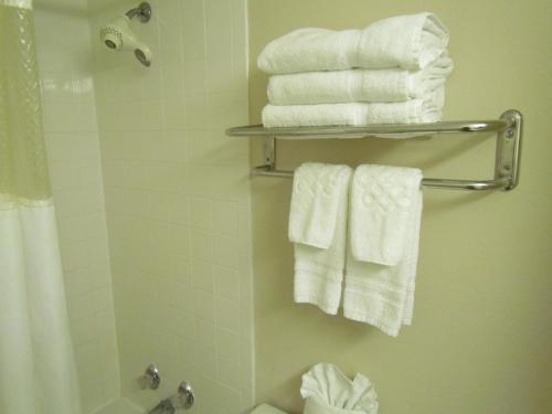 Romana Hotel - Houston Southwest - 샤워실