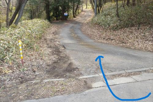 venasuｵｰﾍﾞﾙｼﾞｰﾇ館 卓球カラオケ シアター 石風呂 ドッグラン BBQ