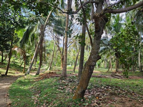 Thehideout kurunegala in Kurunegala Town Udawalpola