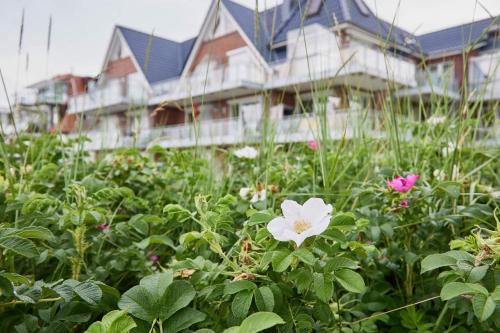 Seedüne - 5 in Cuxhaven, Deutschland