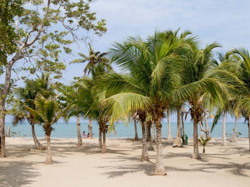 Palmares del Frances - Tolu