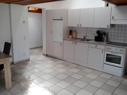 kuhinja, Holiday Home IL VULCANO in Magadino