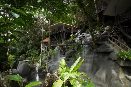 . Rock and Tree House Resort