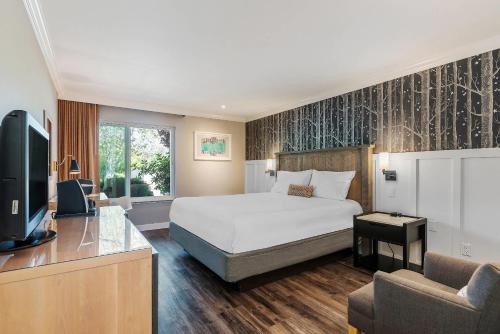 1 king bed