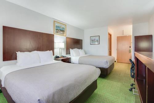 Quality Inn Belgrade - image 12