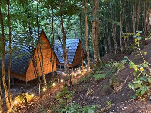 Forest Escape in Theth