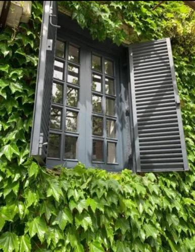 Golden Grape in Тбілісі