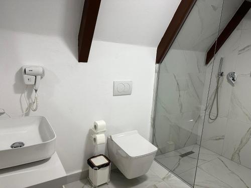 Forest Escape in Theth