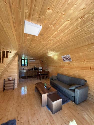 Hunter's Cabin in Martvili