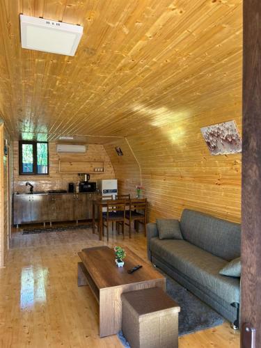 Hunter's Cabin in Martvili