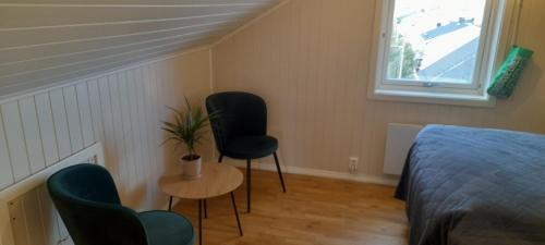 Palmehagen in Киркенес