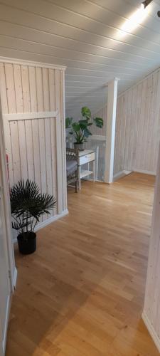 Palmehagen in Киркенес