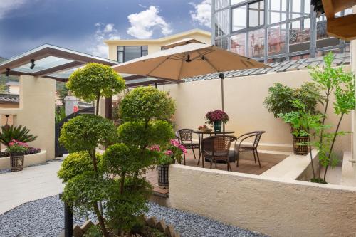 The wonderland homestay - 정원