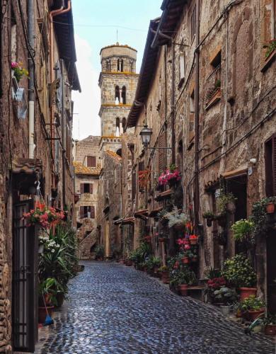La Soffitta della nonna in Ronciglione